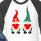 Gnome 2 valentine red green file.jpg