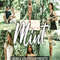 Mint-presets-cover-product-2-1594x1062.jpg