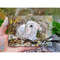 rabbit-painting-oil5.jpg