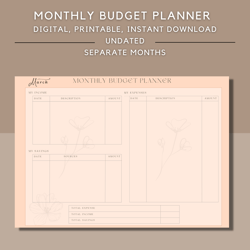 monthly digital budget planner, printable budget planner, undated planner, printable pdf