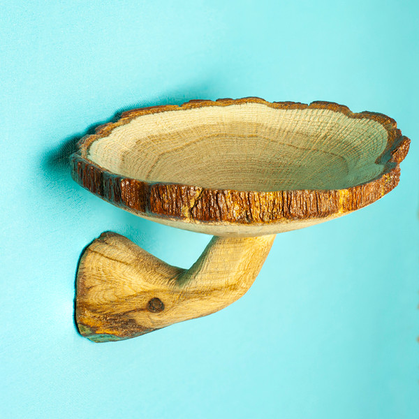 mushroom shelf from oak wood.jpg