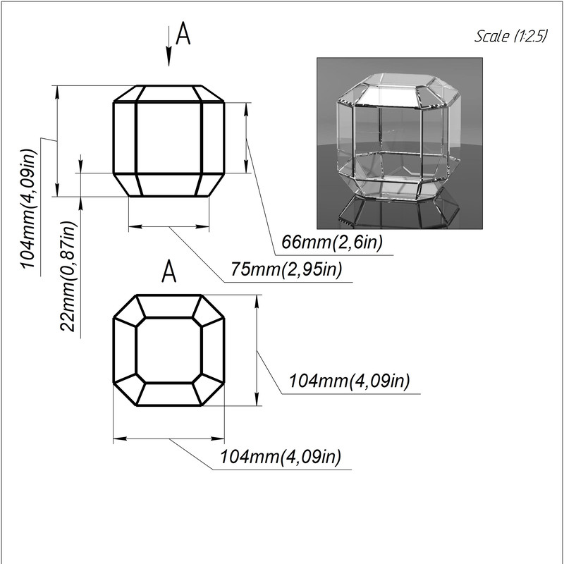 Glass terrarium.jpg