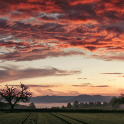 sunrise  samsung frame tv