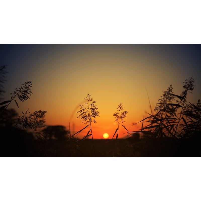 Sunrise in the meadow Samsung Frame TV.png