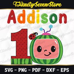 personalized custom file, baby birthday svg, coco-melon svg, cricut, svg files, file for cricut, for silhouette