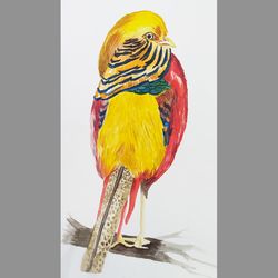 Golden Pheasant Original Watercolor Painting by Guldar