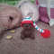 IMG_20201106_145524-01.jpeg