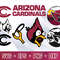 Arizona Cardinals.jpg