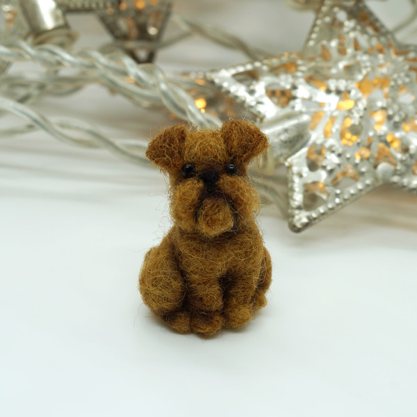 miniature-griffon-dog