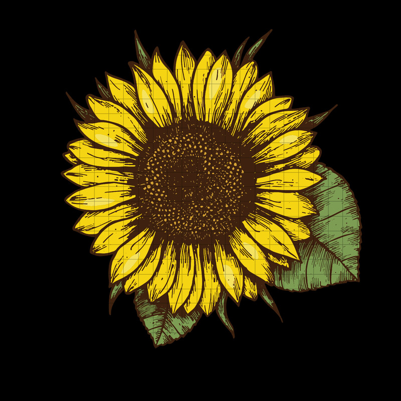 196 Sunflower vintage.png