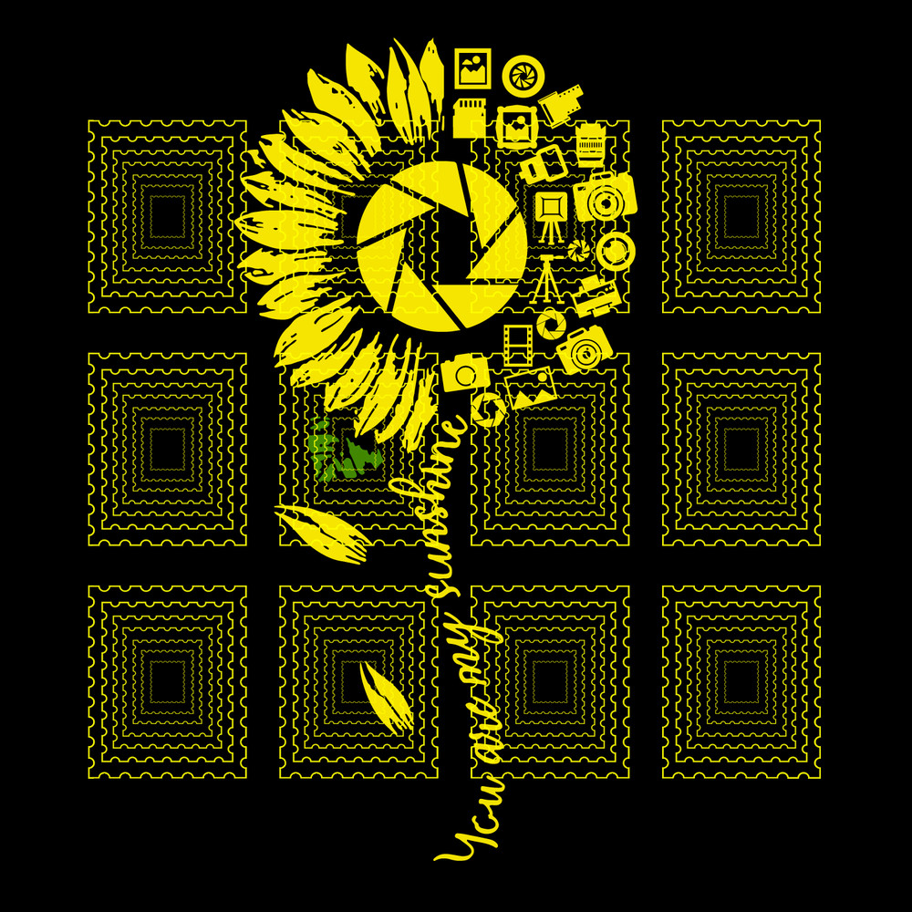 225 Sunflower Camera.png