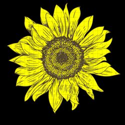 sunshine sunflower svg, sunflower, sunflower svg, sunflower clipart, flower svg, sunflower, png, dxf, vector for cricut