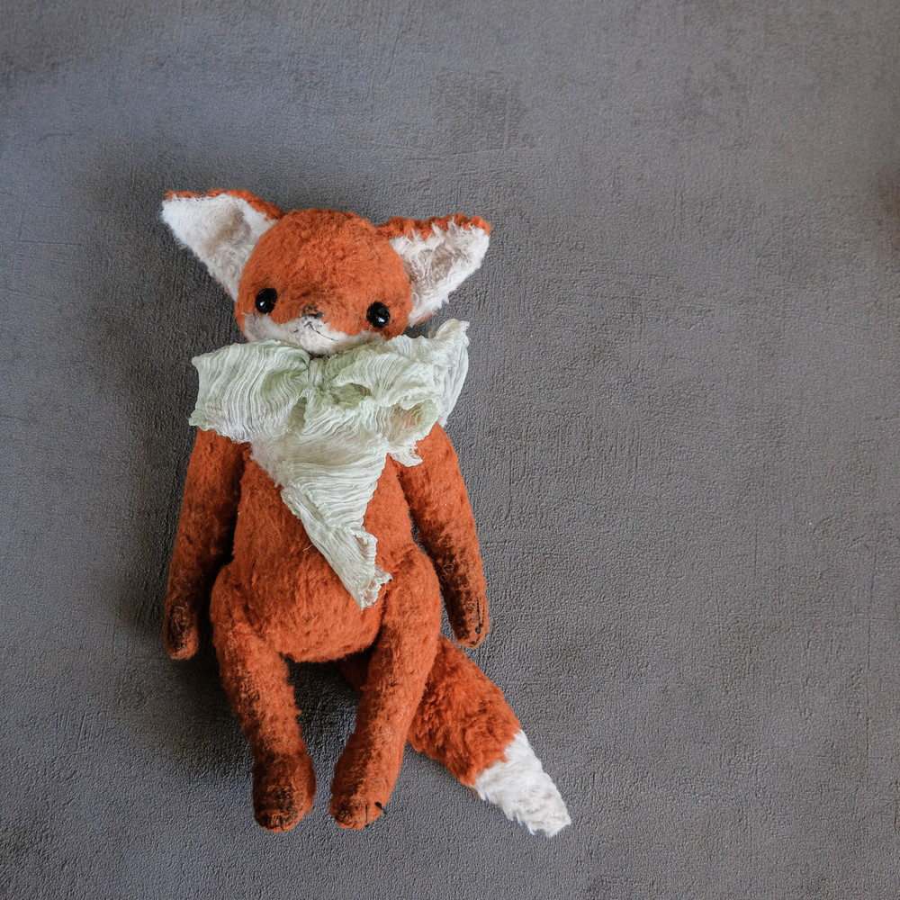 Fox with glassy eyes lies on a gray background