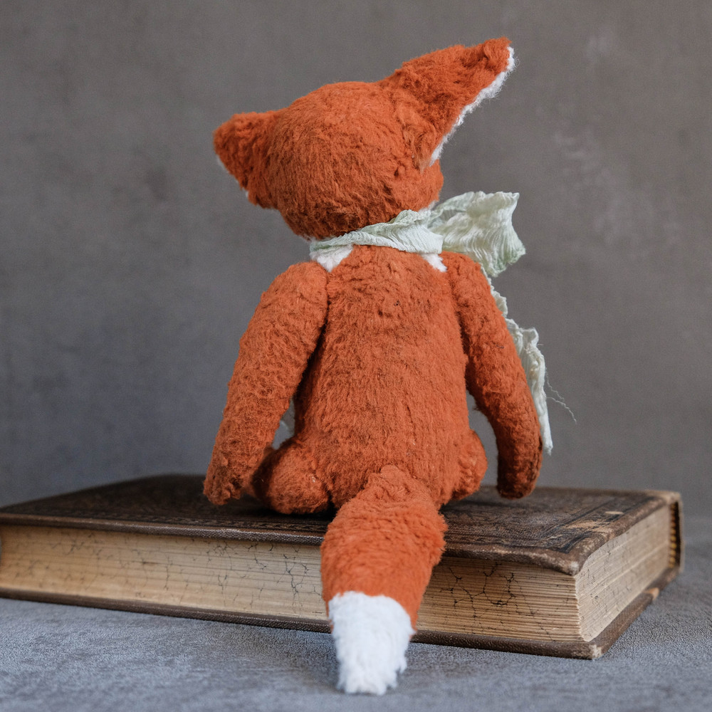 a fox with a tail sits back to us