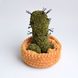 Cocktus Succulent Plant Cactus, Penis Willy gift, dick gift hen party, secret gift novelty fun gift cactus in basket