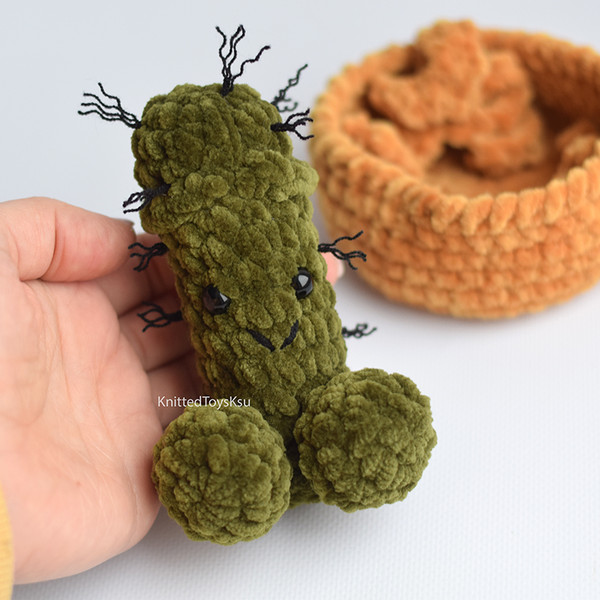 fucktus-plant-gift-toy