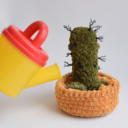 Cactus penis plant funny gift, Willy gift, Bachelorette Party gift ideas, novelty fun gift fucktus toy, cocktus present