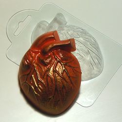 Anatomical heart plastic mold, romantic mold, bath bomb mold, candle mold, love mold, polymer clay mold, soap making mol