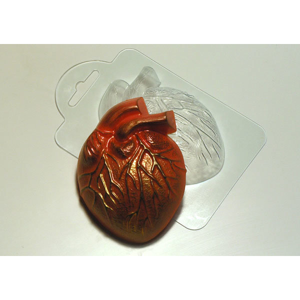 anatomical_heart_mold_2.jpg
