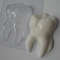 tooth_mold.jpg