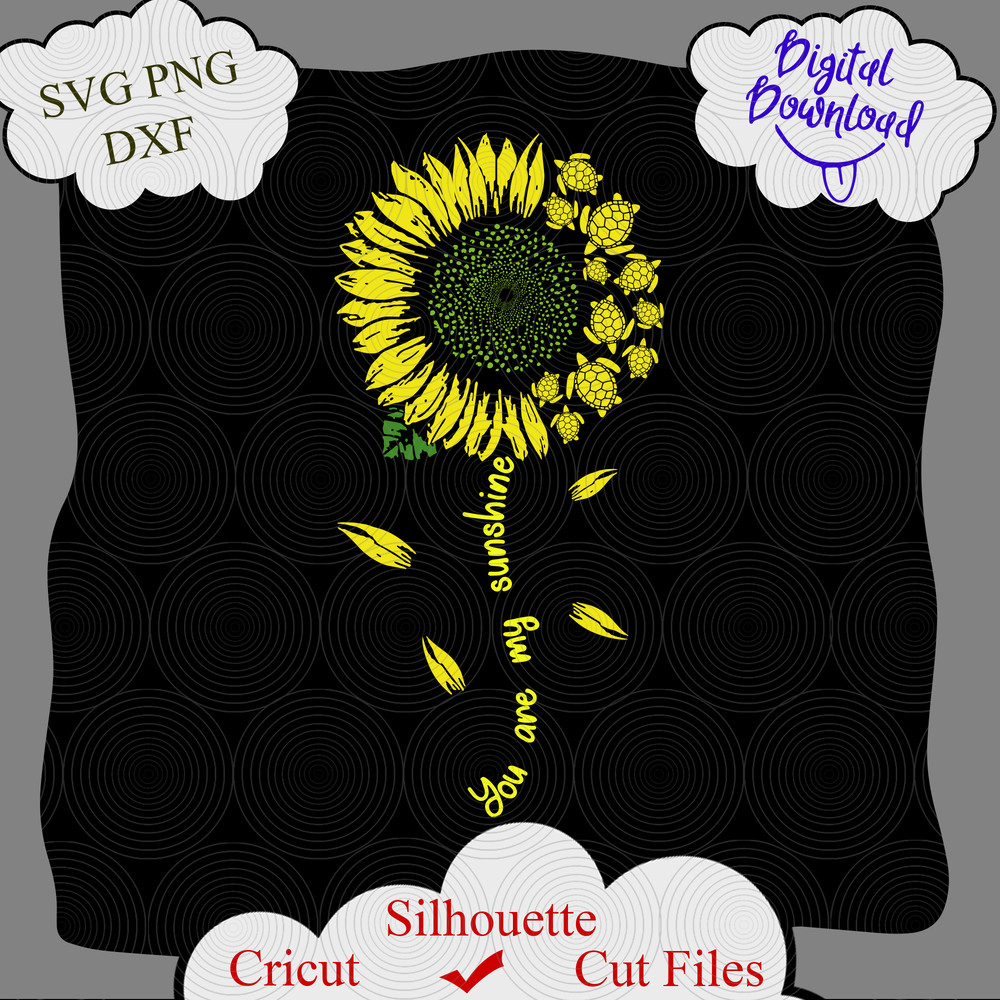 983 sunshine turtle.png