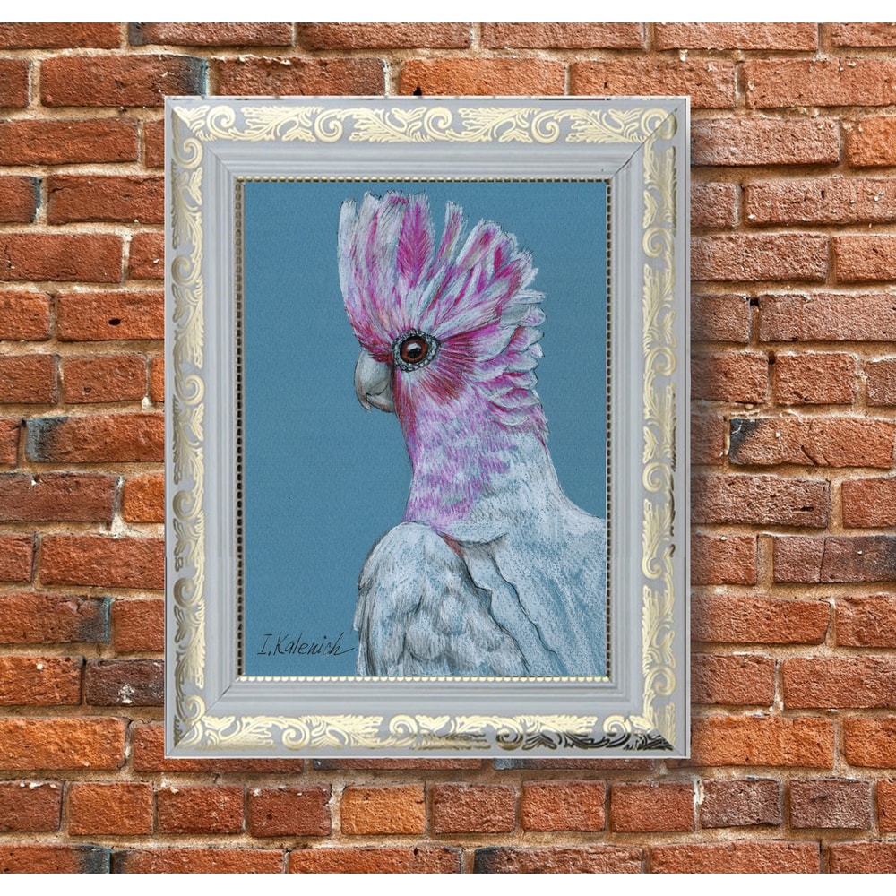 pink cockatoo 1 frame 1.jpg