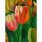 tulip-painting3.jpg