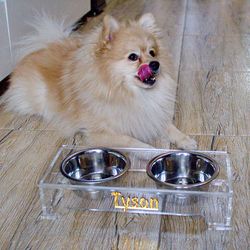 Personalized raised clear acrylic pet dog bowl stand for small dogs |  Elevated acrylic pet feeder, cat bowl holder