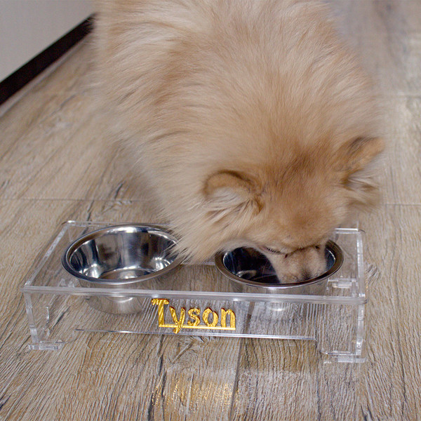 Personalized raised clear acrylic pet dog bowl stand for sma - Inspire  Uplift