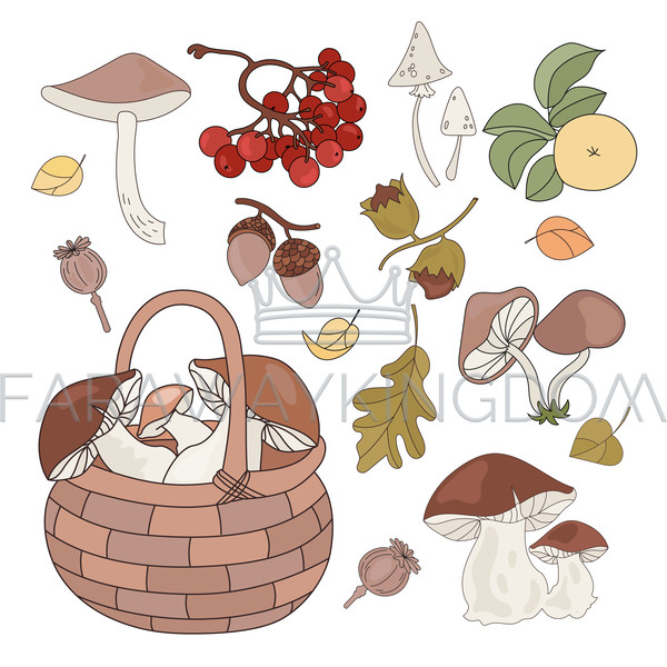 FOREST GOODS [site].png