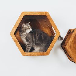 Cat Play Furniture, Wood Wall Cat Shelves, Cat Climbing Hexagon, Wood Hexagon Shelves, New Cat Owner Gift, Cat Hexagons
