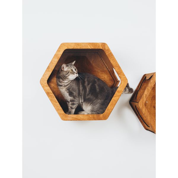 Cat Play Furniture Wood Wall Cat Shelves Cat Climbing Inspire Uplift Cat Play Furniture Wood Wall Cat Shelves Cat Climbing Inspire Uplift