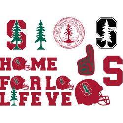 Stanford Cardinal Bundle NFL Svg, NFL Svg, Football team SVG  Ripped | SVG | PNG | DXF