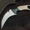 Steel Karambit Hunting Knife with Sheath near me