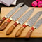 Damascus Chef Set of 5 Pieces near me