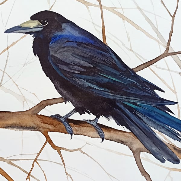 Rook original birds watercolor, bird painting bird watercolo - Inspire ...