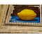 Lemon still life.Oil Painting -2.jpg