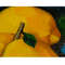 Lemon artwork ,Citrus Original Art -5.jpg