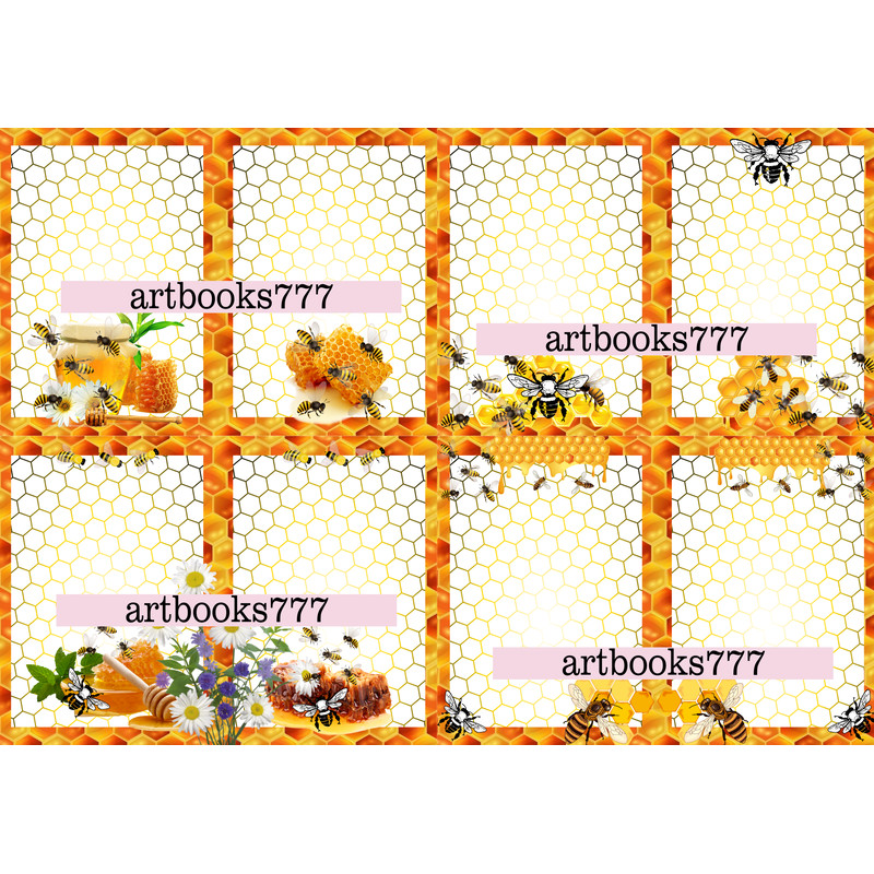 bitmap41.png