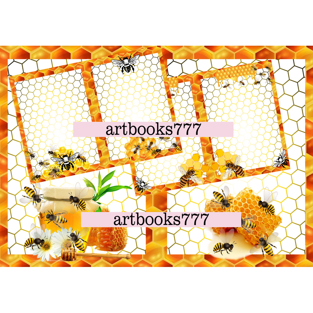 bitmap42.png