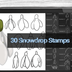 snowdrop brushes procreate stamps
