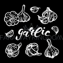 garlic lettering spicy seasoning vector illustration set