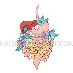gastrointestinal care medicine health vector illustration