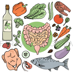 gastrointestinal tract health human nutrition vector set