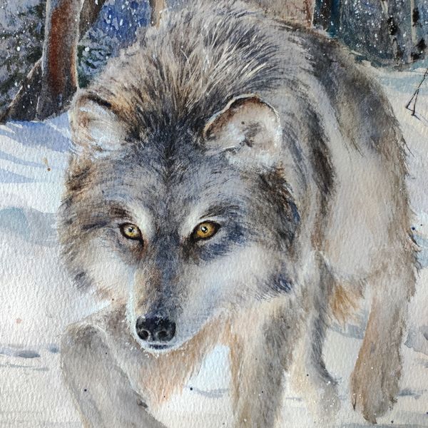 Original-Wolf-Owl-painting-Wild-Animal-Gift-hunter-Wildlife-fine-art-2.jpg