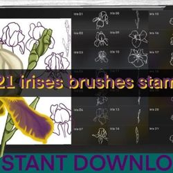 Irises Brushes Procreate Stamps
