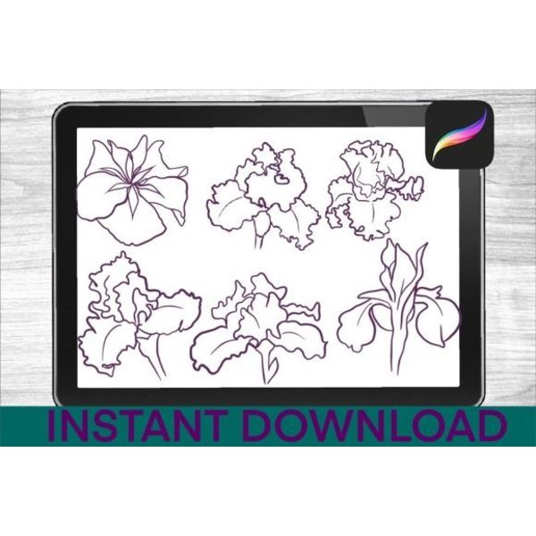 Irises-Brushes-Procreate-Stamps-Graphics-32166107-2-580x387.jpg
