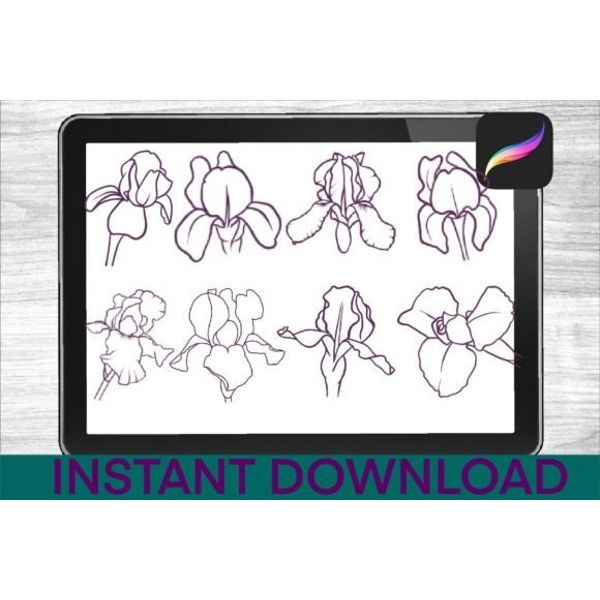 Irises-Brushes-Procreate-Stamps-Graphics-32166107-3-580x387.jpg