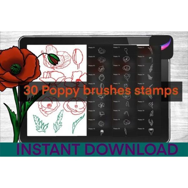 Poppy-Brushes-Procreate-Stamps-Graphics-32740731-1-1-580x387.jpg