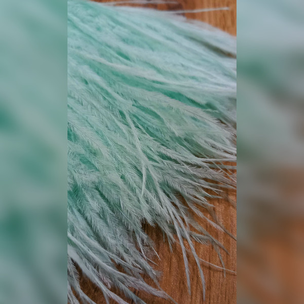 mint feathers